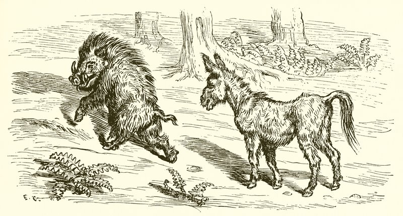 Dzik i osioł autorstwa Ernest Henry Griset