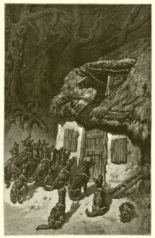 Wilki i chory tyłek autorstwa Ernest Henry Griset