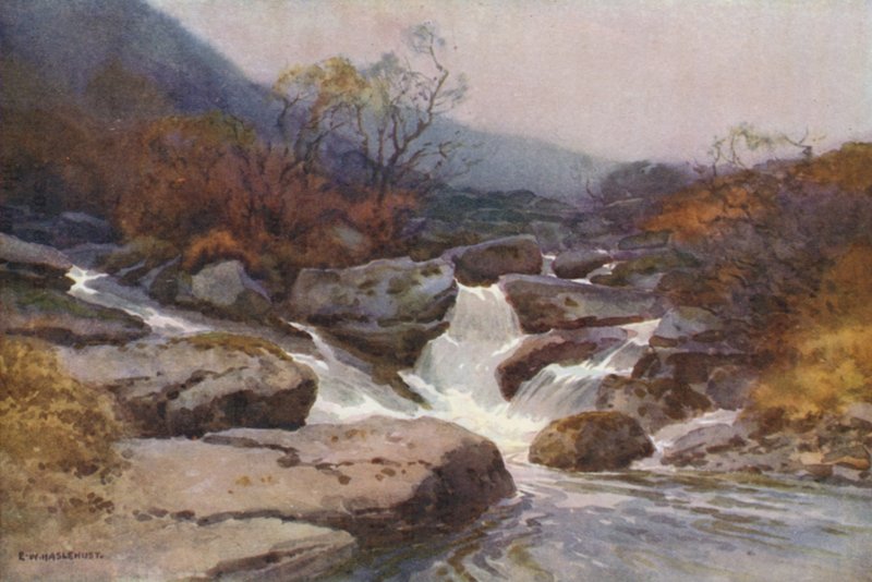 Strumień Dartmoor (kolor lito) autorstwa Ernest William Haslehust