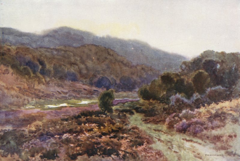 By Broomy Water (kolor lito) autorstwa Ernest William Haslehust