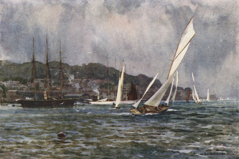 Krowy (kolor lito) autorstwa Ernest William Haslehust
