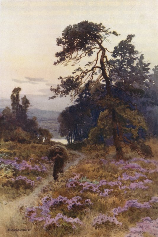 Harlow Moor, Harrogate (kolor lito) autorstwa Ernest William Haslehust