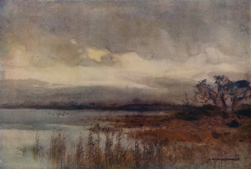 Hickling Broad (kolor lito) autorstwa Ernest William Haslehust