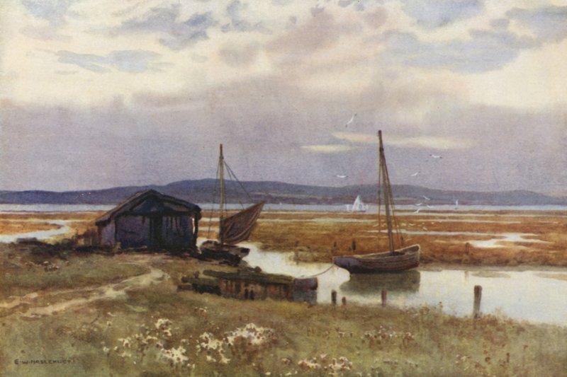 Lepe (członkowie kolorowi) autorstwa Ernest William Haslehust