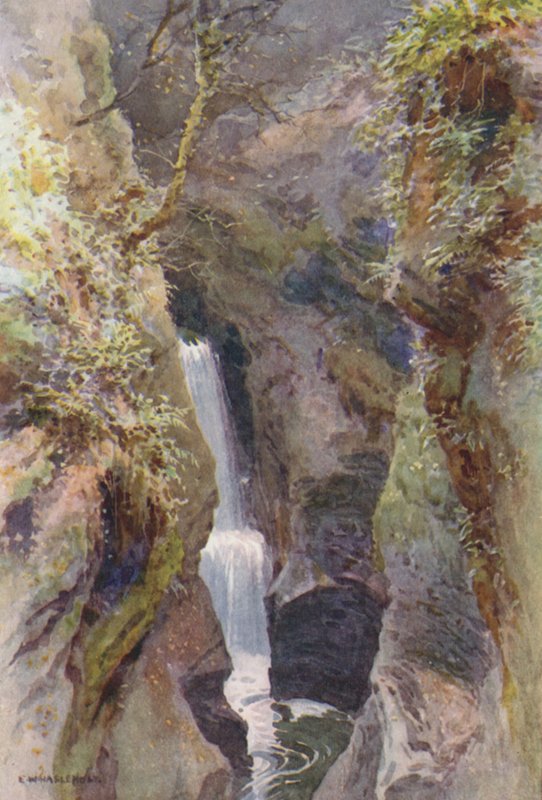 Lydford Gorge (członkowie kolorowi) autorstwa Ernest William Haslehust