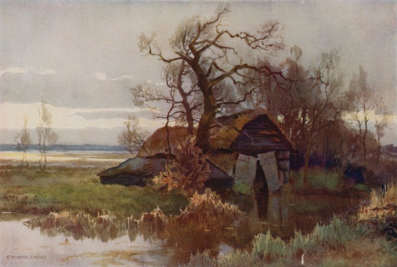 Stare łodzie, Barton Broad (kolor lito) autorstwa Ernest William Haslehust