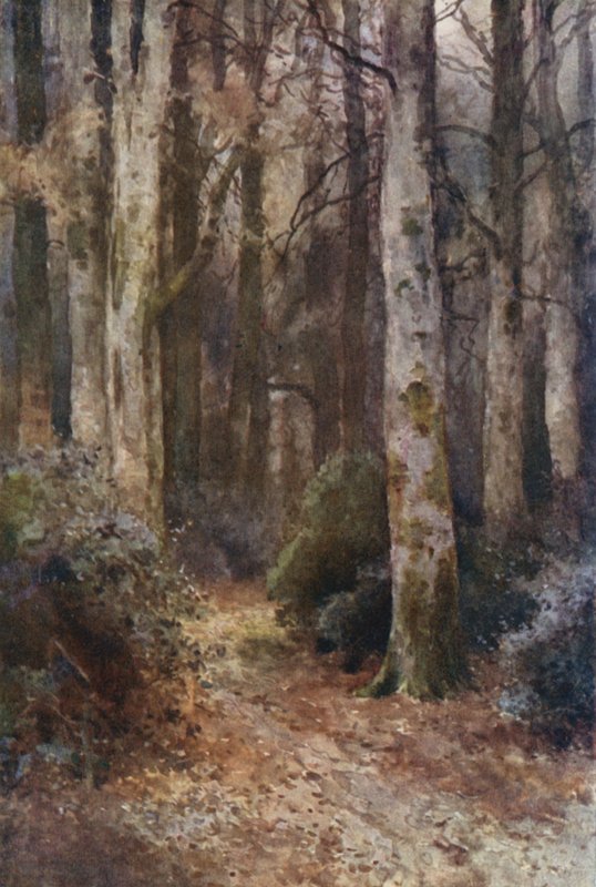 „Katedra” (kolor lito) autorstwa Ernest William Haslehust