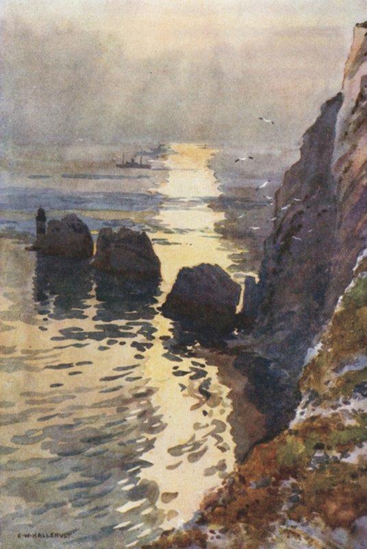 Igły (kolor lito) autorstwa Ernest William Haslehust