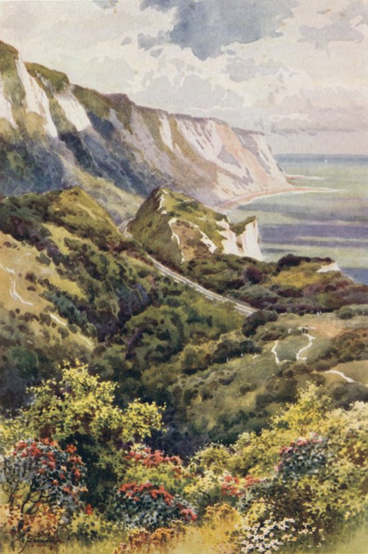 Warren, Folkestone (kolor lito) autorstwa Ernest William Haslehust