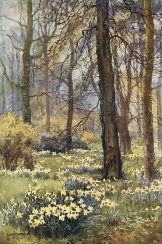 Wilderness na wiosnę (kolor lito) autorstwa Ernest William Haslehust