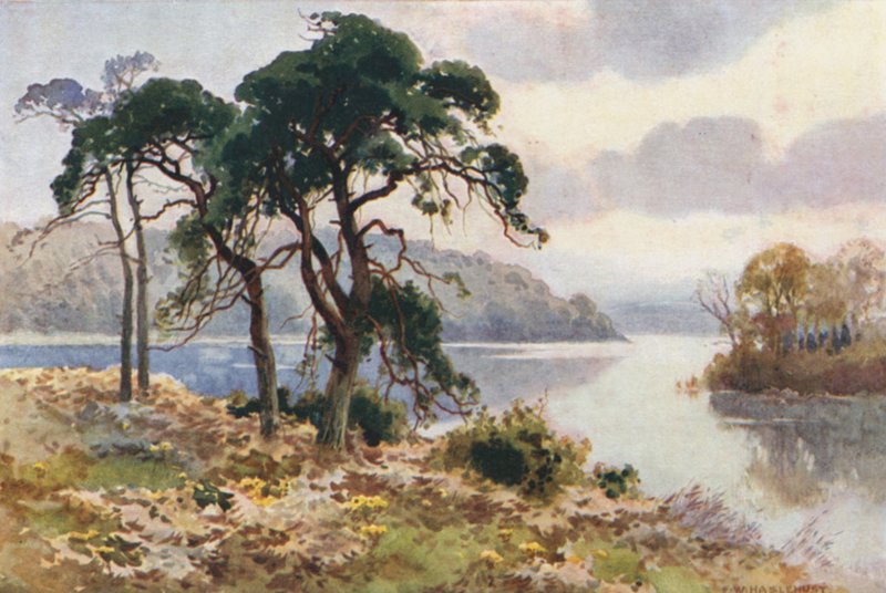 Virginia Water (kolor lito) autorstwa Ernest William Haslehust