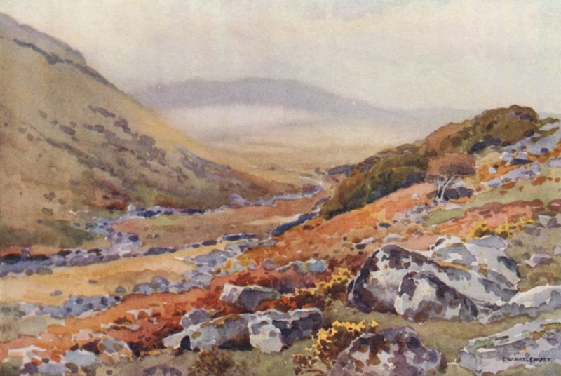 Drewno Wistmana (kolor lito) autorstwa Ernest William Haslehust