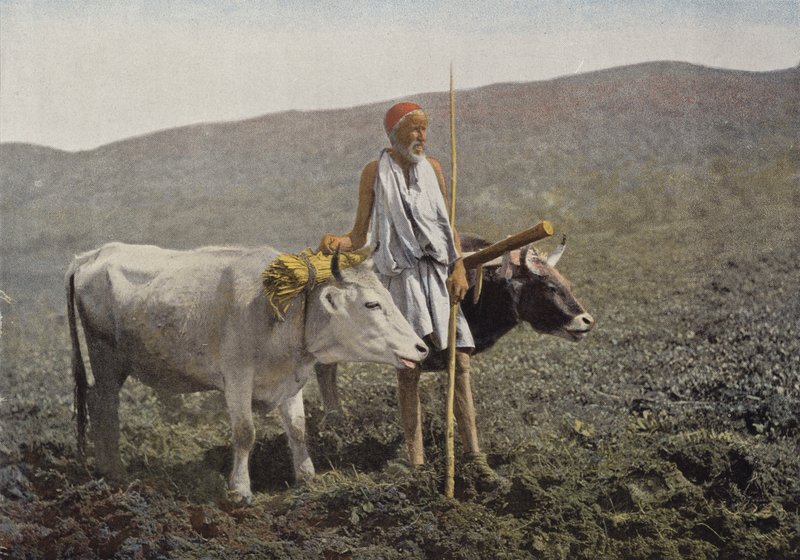 Złącze Kabyle autorstwa European Photographer