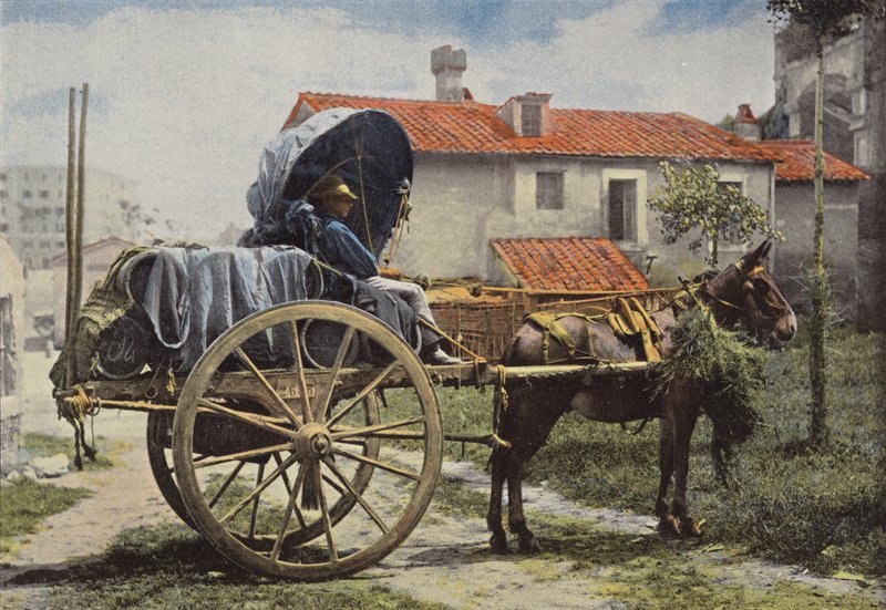 Okolice Rzymu, Carter Driving Wine autorstwa European Photographer