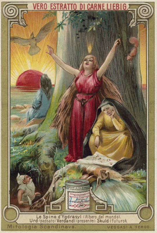 Drzewo Yggdrasil autorstwa European School