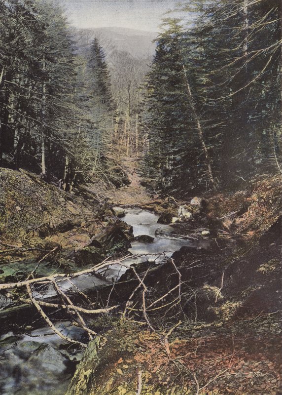 Luchon, Górna Dolina Szczupaka autorstwa European Photographer