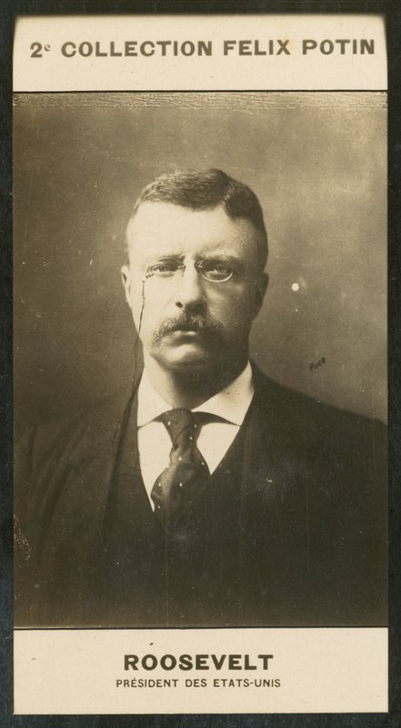 Theodore Roosevelt, Prezydent Stanów Zjednoczonych autorstwa European Photographer