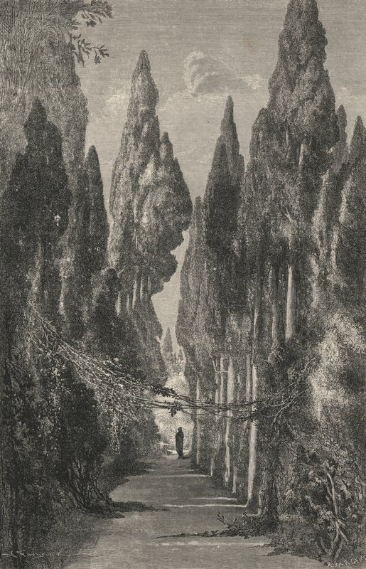 Allele du Generalife (grawerowanie) autorstwa European School