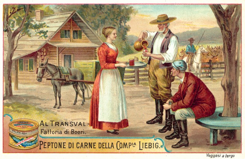 Gospodarstwo burskie w Transwalu (chromolitho) autorstwa European School