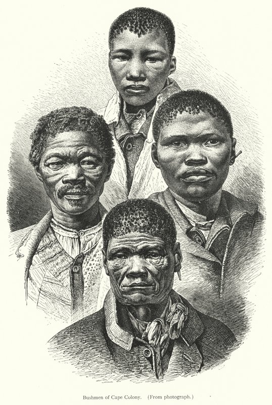 Buszmeni z Cape Colony (grafika) autorstwa European School