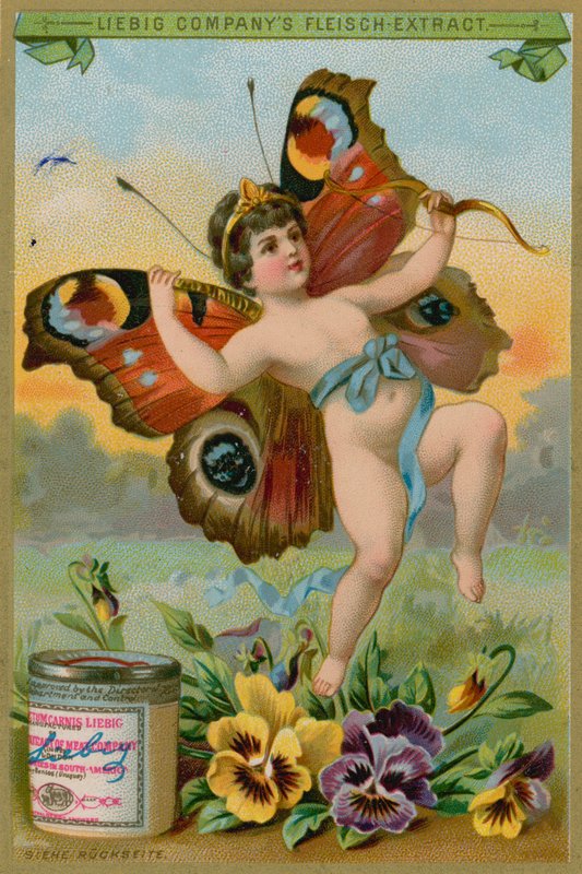 Aniołek motyl z bratkami autorstwa European School