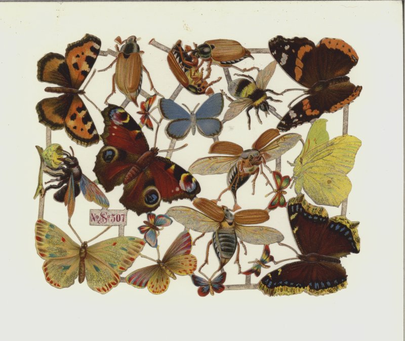 Owady (chromolitho) autorstwa European School