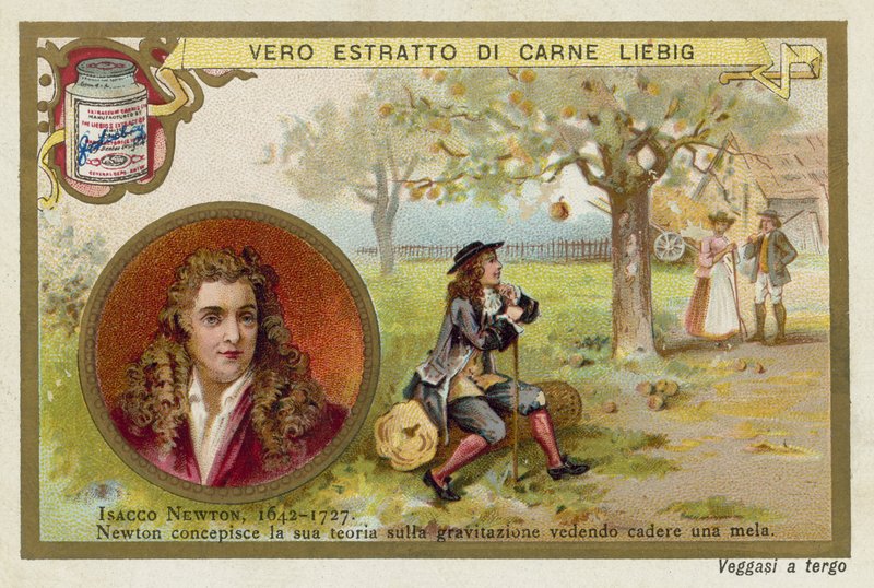 Isaac Newton, angielski fizyk i matematyk autorstwa European School