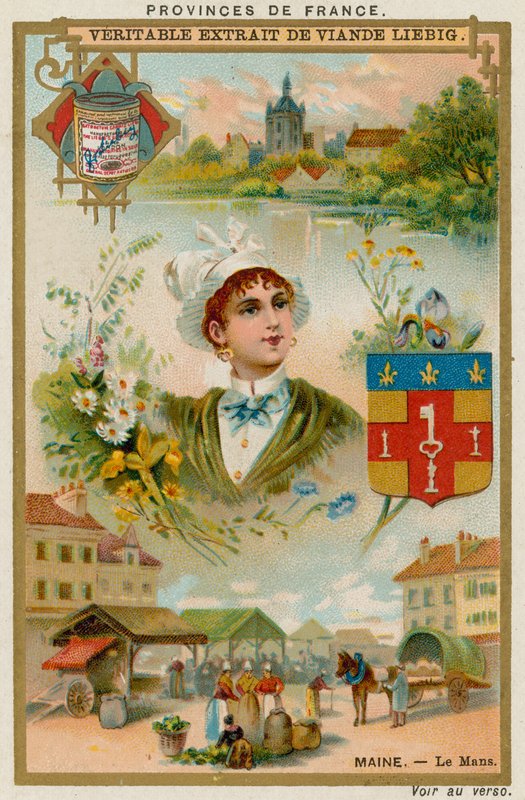 Maine autorstwa European School