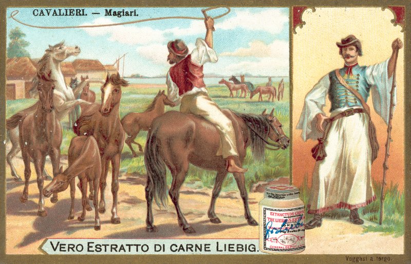 Madziarów (chromolitho) autorstwa European School