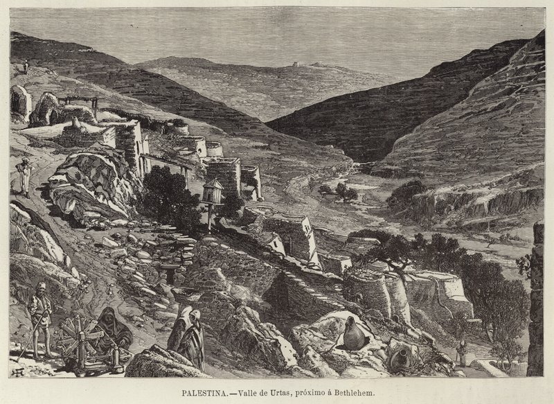 Palestyna, Dolina Urtas, niedaleko Betlejem autorstwa European School
