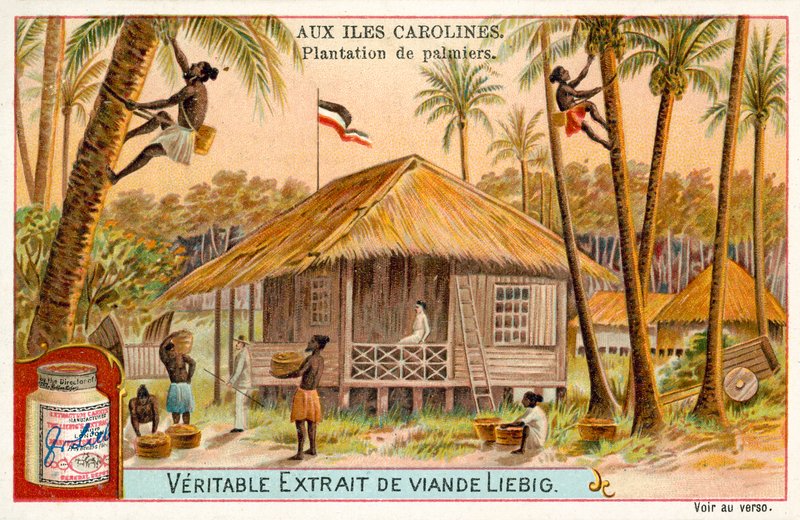 Plantacja palm, Wyspy Caroline (chromolitho) autorstwa European School