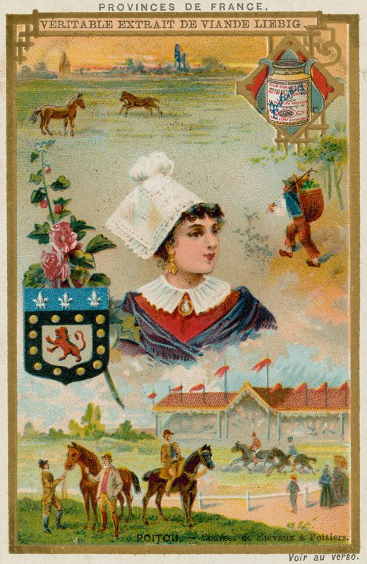 Poitou autorstwa European School