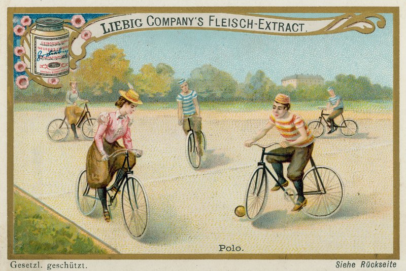 Gra polo autorstwa European School