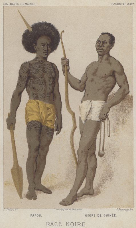 Czarna rasa, papuaska, czarna z Gwinei (chromolitho) autorstwa European School
