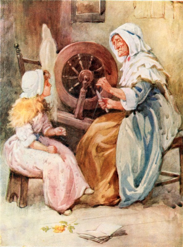 Wrzosowa Róża autorstwa Evelyn Stuart Hardy