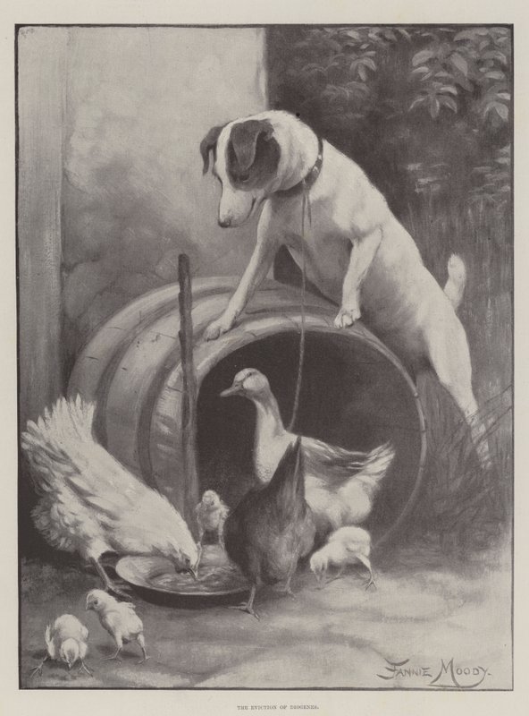 Eksmisja Diogenesa autorstwa Fannie Moody