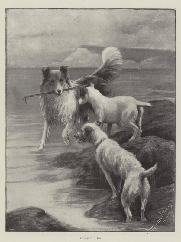 Czas wakacji autorstwa Fannie Moody
