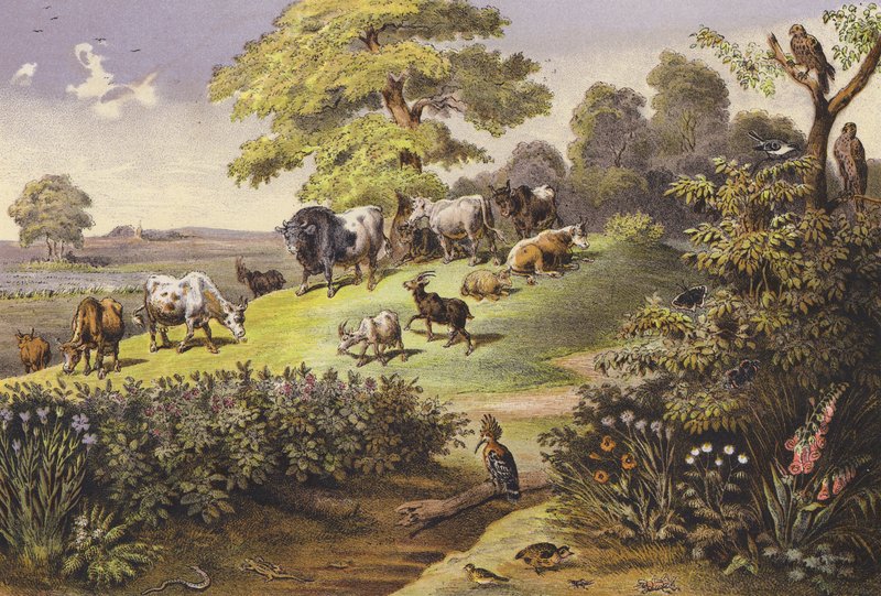 Lipiec (druk kolorowy) autorstwa Ferdinand Karl Klimsch