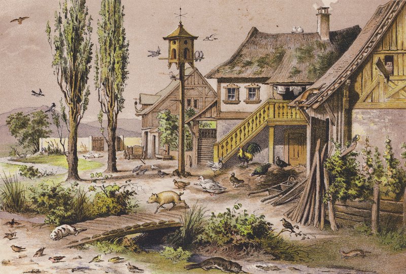 Listopad (druk kolorowy) autorstwa Ferdinand Karl Klimsch