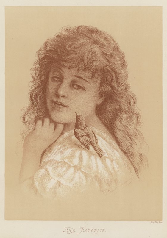 Ulubiony autorstwa Florence Claxton