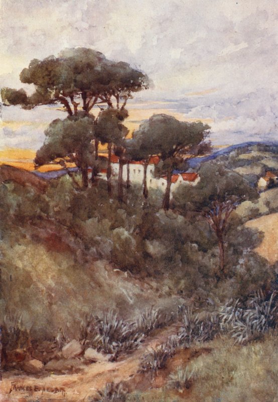 Stone Pines, Algier (kolorowa litografia) autorstwa Frances Nesbitt