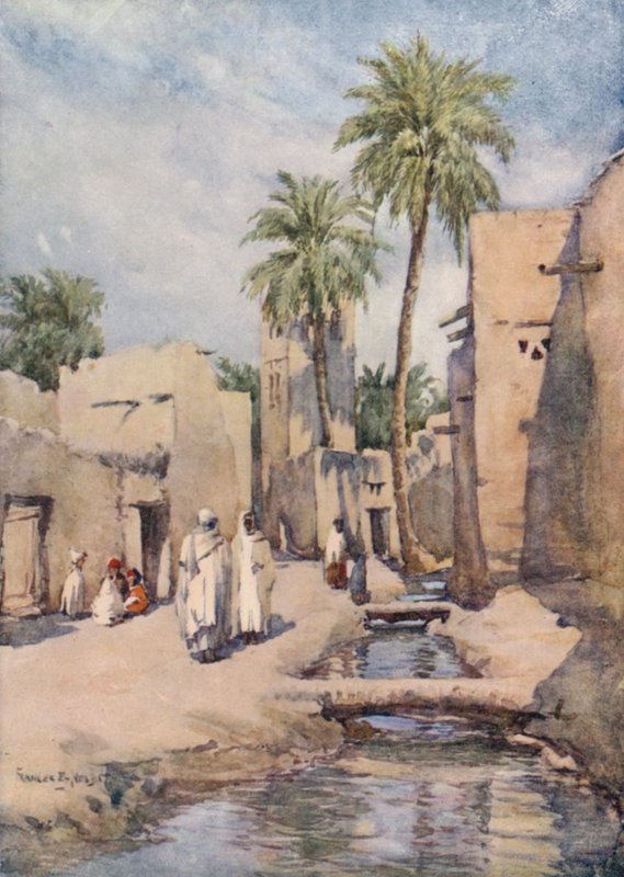 Oaza Biskry, Algieria autorstwa Frances Nesbitt