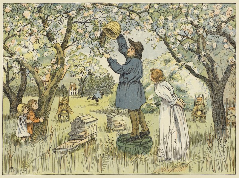 Farmer pszczół (kolorowa litografia) autorstwa Francis Donkin Bedford