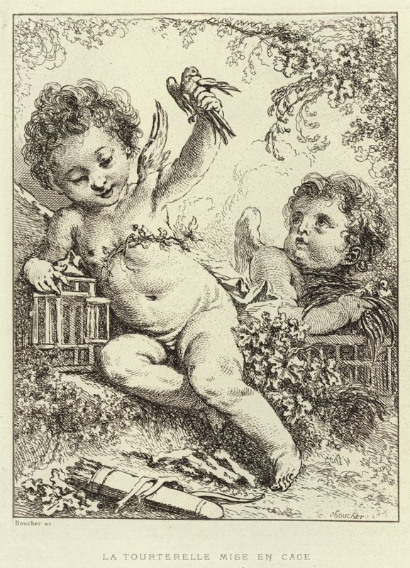 Gołąb w klatce (rycina) autorstwa Francois (after) Boucher