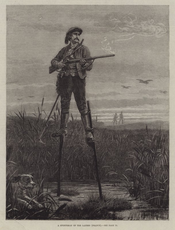 Sportowiec z Landes (Francja) autorstwa Frank Dadd