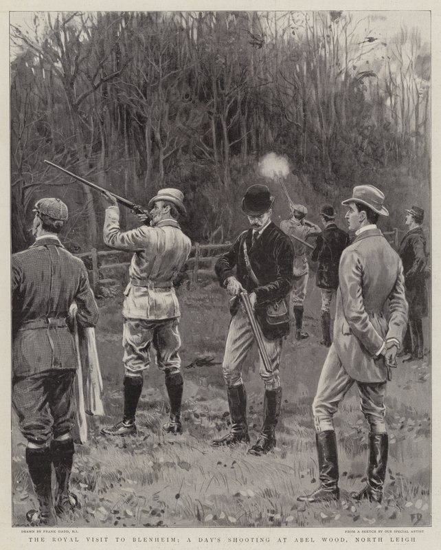 Królewska wizyta w Blenheim, jednodniowa strzelanina w Abel Wood, North Leigh autorstwa Frank Dadd