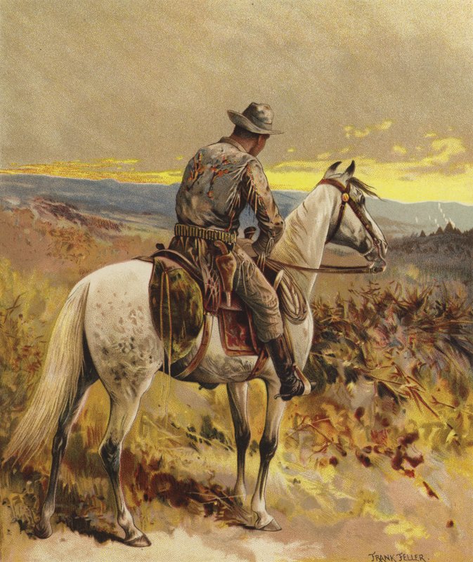 Skaut - Ameryka Północna autorstwa Frank Feller