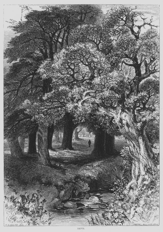 John Milton, Zamyślony (grafika) autorstwa Frederick William Hulme