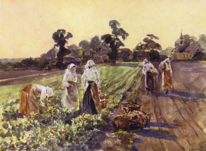 Unikanie Exhall autorstwa Frederick William Newton Whitehead