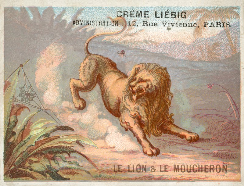 Lew i komar autorstwa French School